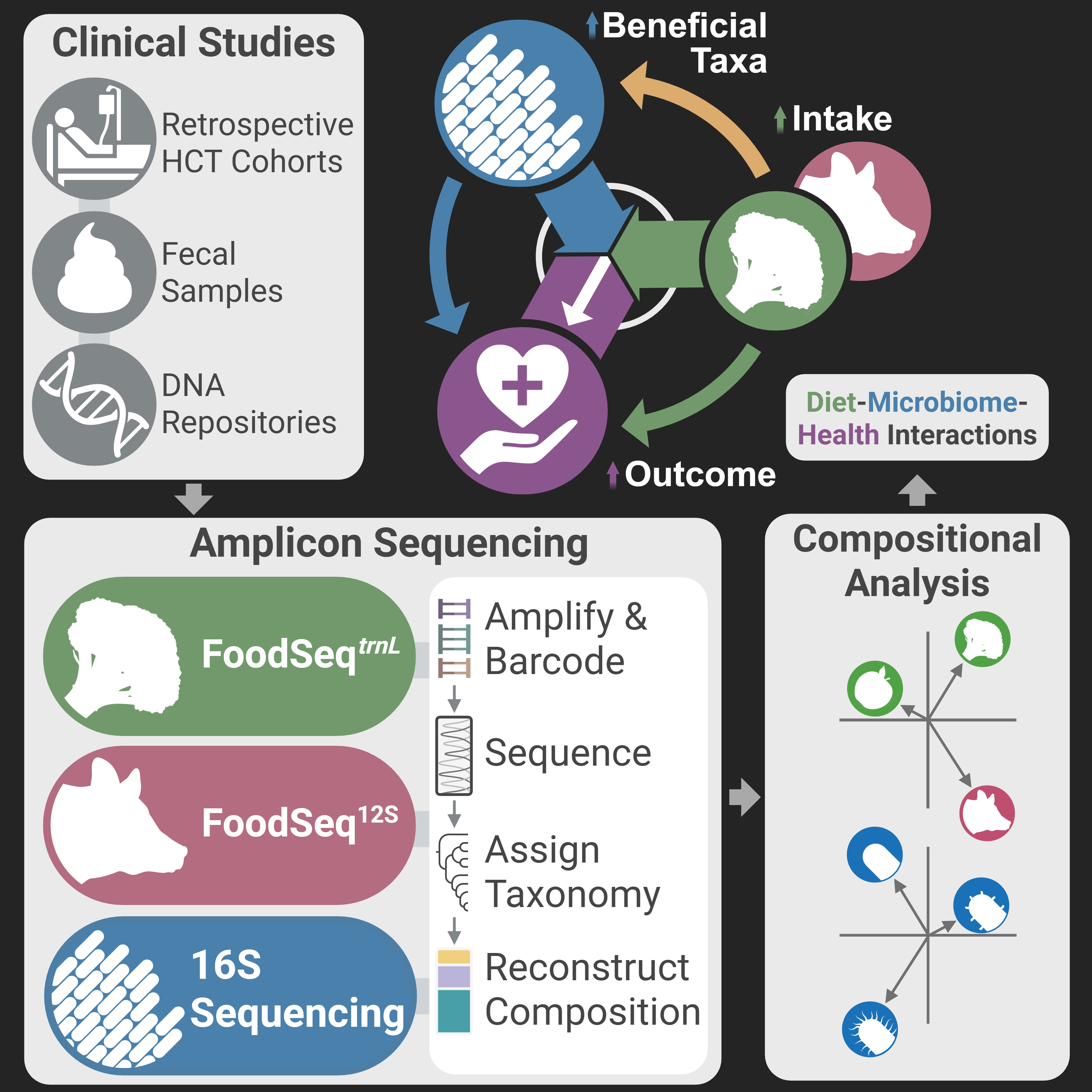 Graphical abstract of thesis project